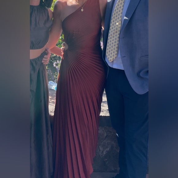 ALC Delfina Pleated  Maxi Dress - Picture 13 of 13